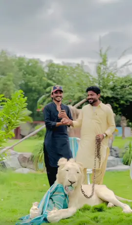 Pir melenge 😎😎.                 #foryoupage #rehmii❤️ #1mviews #viral 