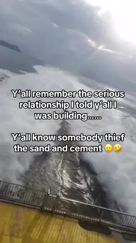 🦈