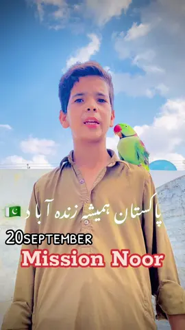 Mission Noor❤️ Always Stand with Pakistan🇵🇰#foryou#fypシ゚viral🖤tiktok #missionnoor #standwithpakistan #parrot_lover512 