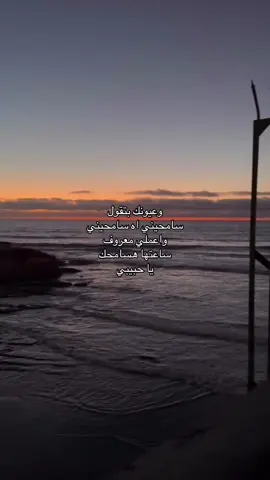 وعيونك بتقول                                                                                                                             سامحيني اه سامحيني                                                                                      واعملي معروف                                                                                ساعتها هسامحك                                                                                                          يا حبيبي                                                                                                            San Diego, Ocean Beach, USA 
