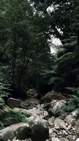 Dry riverbed