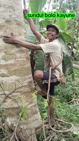 #glodongbalapsengonlaut  #sonokelingbanjarnegarafyp #kayujati  seputar perkayuan lokal bae ra ngapak r kepenak lur #video  #tiktokviral 