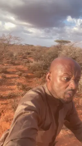 Maanta iyo jawiga orodka ay kulamaantahay arimaha shaqadu.#somalilandtiktok💚🤍❤ #somailtiktok 