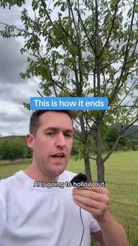 This is how it ends