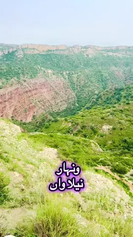#ونہارآلے #chakwal  #chakwalian #chakwalian  #dubai🇦🇪 