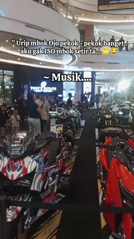 wkwkwk,,, sapp si paling pintar dan paling suci... #maxi #yamahaindonesia #musikviral #aishiteru #fyp 