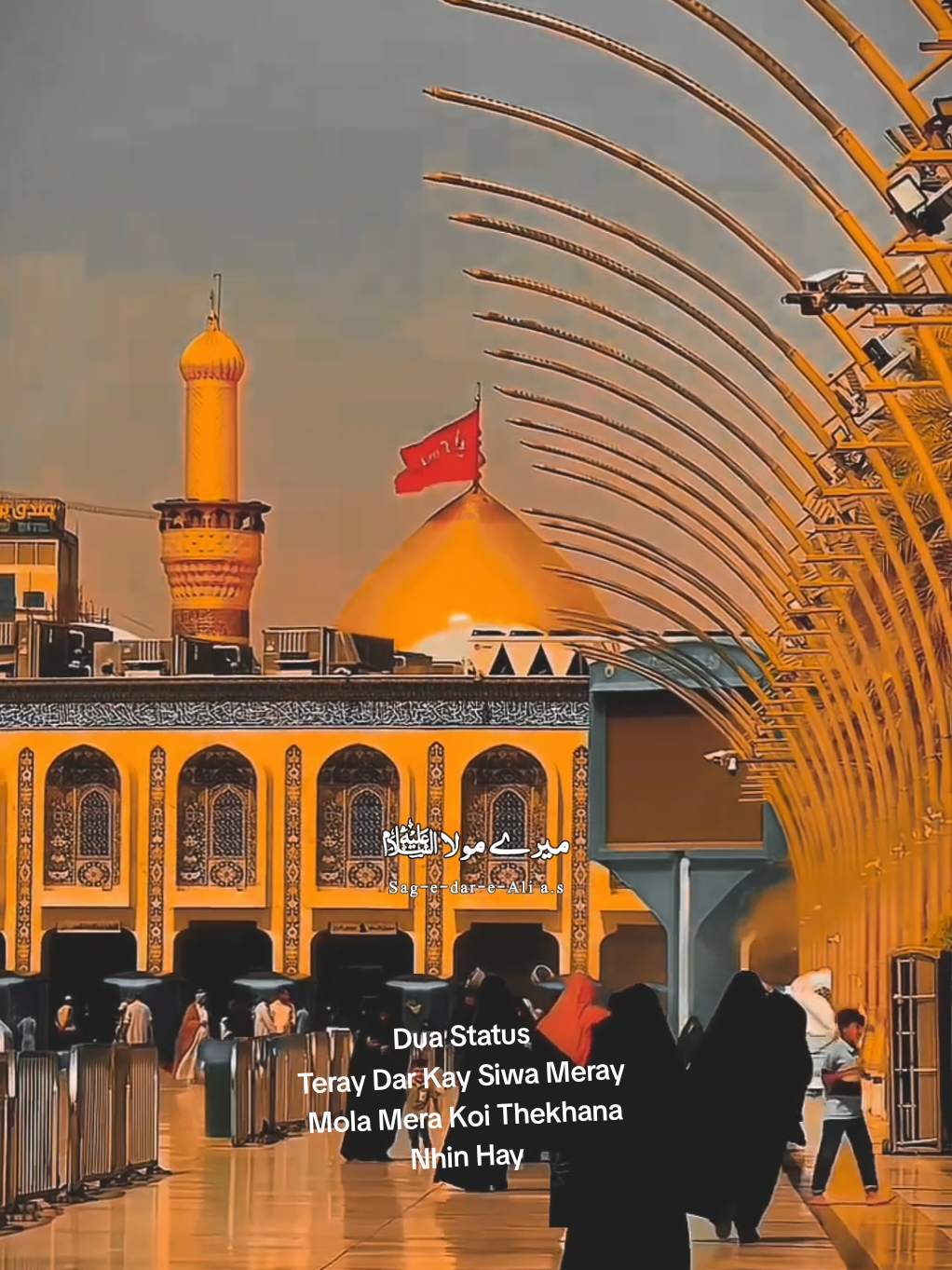 تیرے در کے سوا میرے مولا  ؑمیرا کوئی ٹھکانہ نہیں ہے New Status 🥹🙏🥀 #viral #foryoupage❤️ #deartiktokteamdontunderviewmyvideos #newaccountplzsupport #plzviral🥺🥺🙏🙏foryoupage @Dar e Ahlebait @jafri @Syeda-ABIHA-ABBAS-72378 @CHANDNIII14 @Mrs.imran🥰 