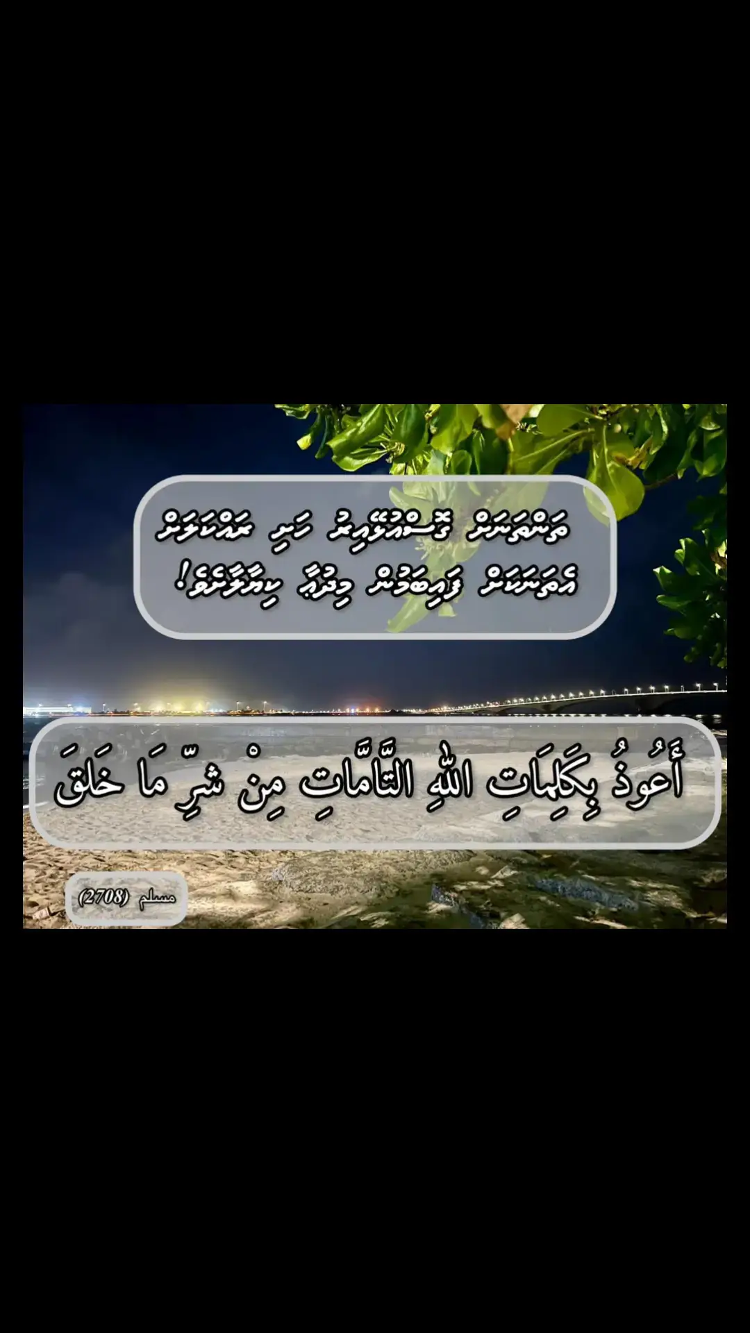 #foryou #fypシ゚viral #pyyyyyyyyyyyy #fypシ゚viral🌷tiktok 
