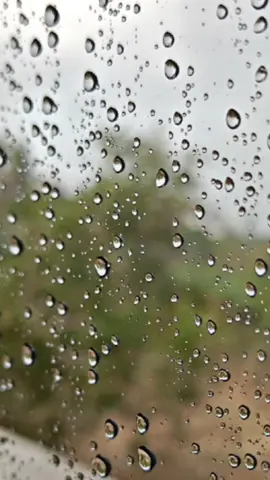#CapCut اعادة نشر ومتابعة 