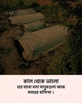 কাল থেকে ভালো হয়ে যাবো বলা মানুষগুলা আজ কবরের বাসিন্দা ।#flypシ #foryou #foryoupage 