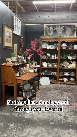 Rustique Antique & Collectables in Sanford NC!#vintage #sunday #shopping #antique #fyp 