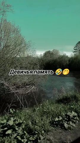 #🤭🤣 