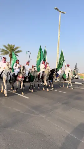 #فعاليات_اليوم_الوطني_95 #حايل 