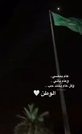 #اليوم_الوطني_السعودي95💚💚🥹  #سعودية_فخر_ما_بعده_فخر 💚🤍💚 #وطني_حبيبي_وطني_الغالي 🇸🇦🇸🇦