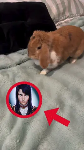 I BEG YOUR PARDON ??? #british she’s so British I miss her #caitlynkiramman #caitlynarcane #caitvi #bunny 