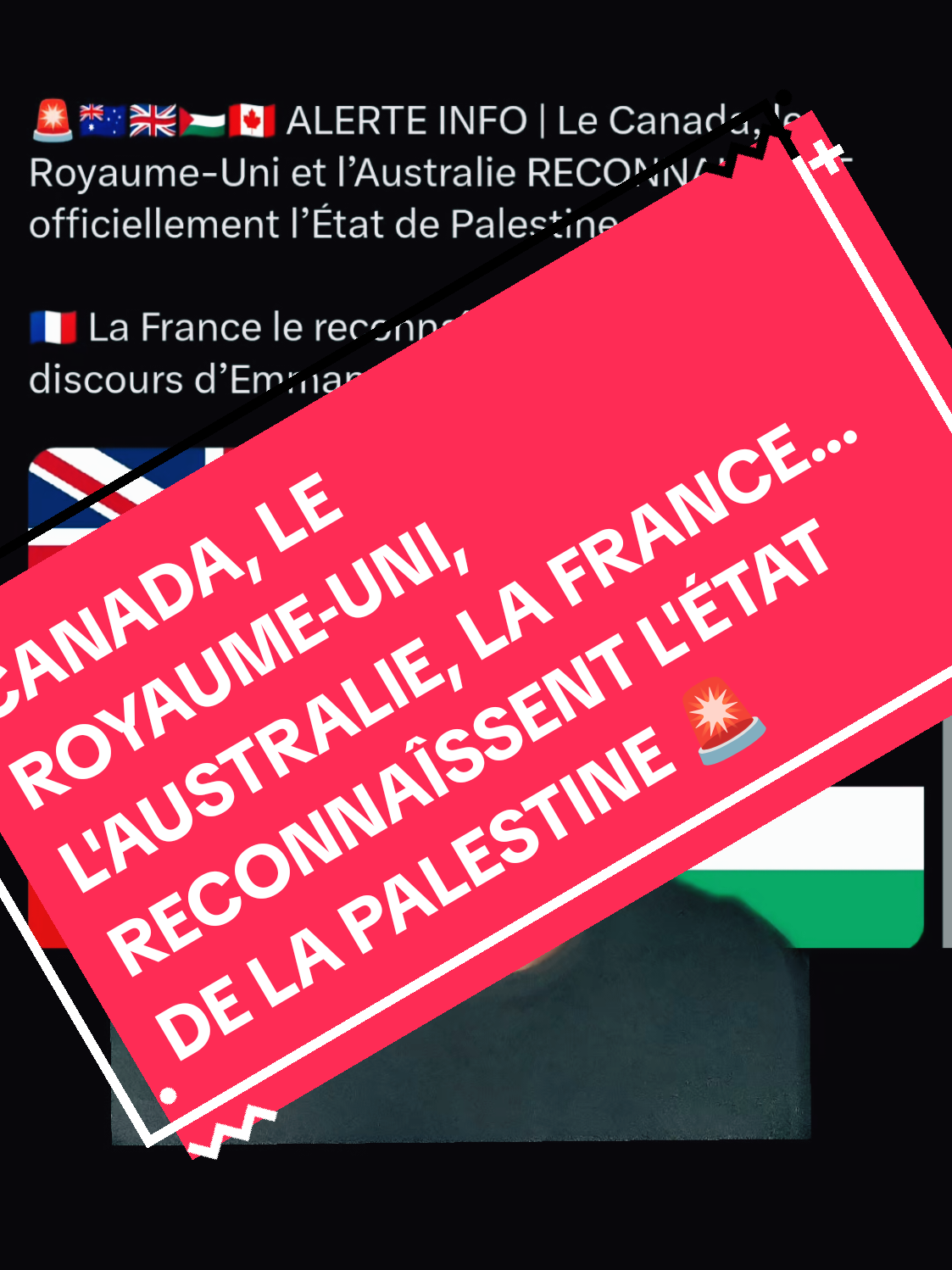 CANADA, LE ROYAUME-UNI, L'AUSTRALIE, LA FRANCE... RECONNAÎSSENT L'ÉTAT DE LA PALESTINE 🚨 #pourtoi #israel #gaza 
