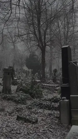 #end#graves#winter