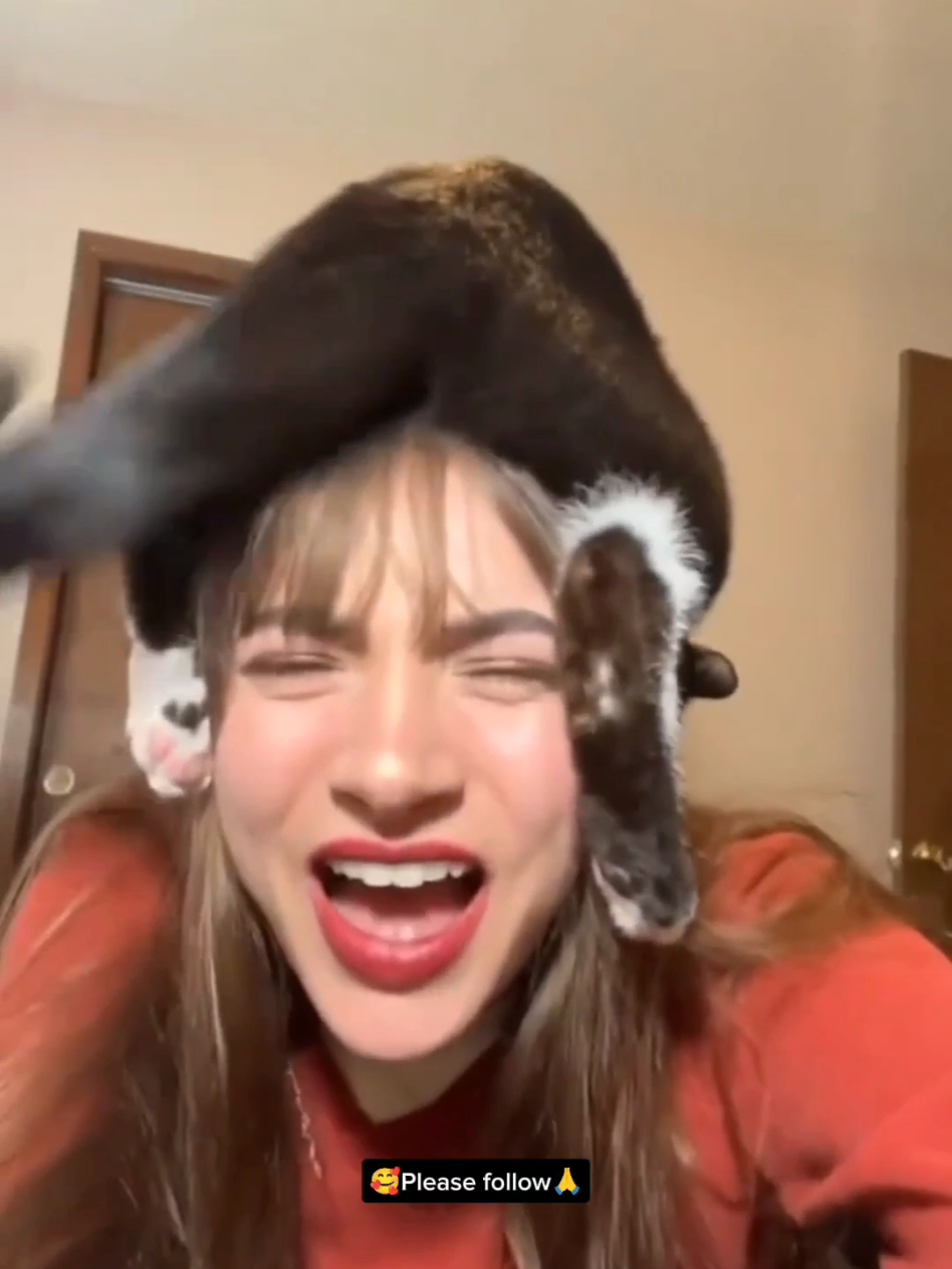 #cat #cute #catvideo #cutecat #funny 