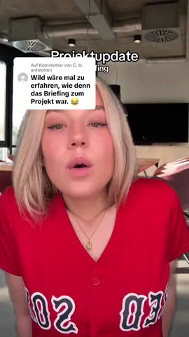 Antwort auf @C. U. Briefings sind überbewertet. #dasprojekt #call #update 