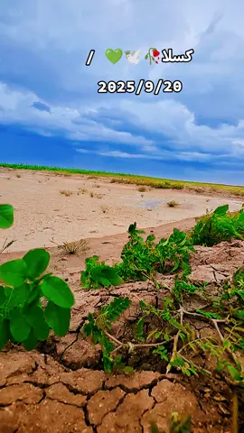 #اجواء_الخريف🍀 #تصويري📸 #المناضر_الطبيعية ##مجرد________ذووووووق🎶🎵 