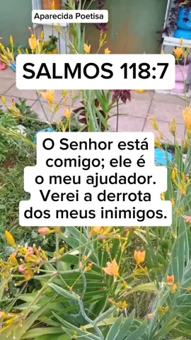 SALMOS 118:7. Amém. 🙏💙 #aparecidapoetisa #oracaopoderosa  #salmos91 #oracionespoderosas  #oracion 