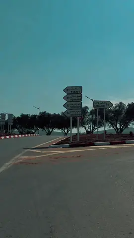 #تلمسان_13 #tlemcen #algeria #folwers #الجزائر 