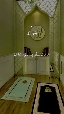 Last Two ayat of Surah Al-Baqarah  Protection from evils  Spiritual efficiency  Grants tranquility  Serves as a profound supplication for Allah's mercy and victory #قرآن #Quran  #quran_alkarim #قرآن_كريم  #تلاوة_خاشعة 