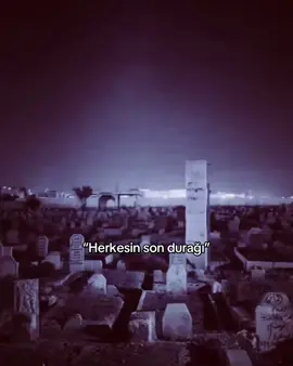 #7sexavet #fyp #keşfetbeniöneçıkar #fyp #keşfetbeniöneçıkar 