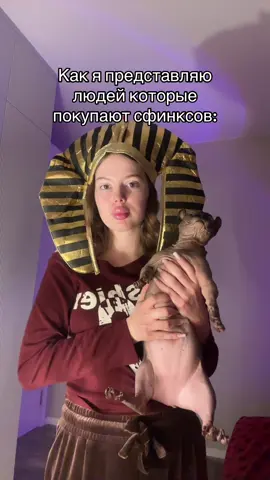 А как иначе #лысикоти #лысипопи #сфинкс #животные #sphynx 
