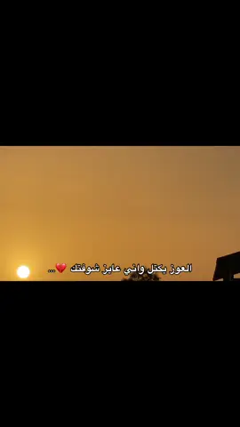؟ #وحدنا_نطير_ونعلي🕊️🖇️✨ #زيودي_اللهيبي 