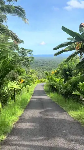 MOUNT MERBUK - BALI INDONESIA 🇮🇩  #bali #nature #view #fyp #viral 