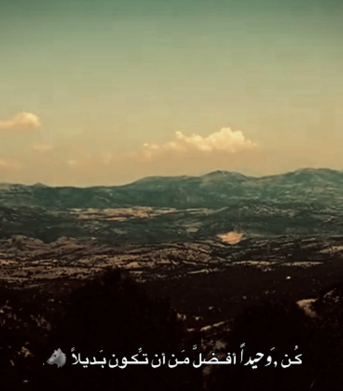 كُـن ,َوحـيداً أفــضلَّ مَـن أن تـِّكـون بَـديلاً 🐺. / #مارس #