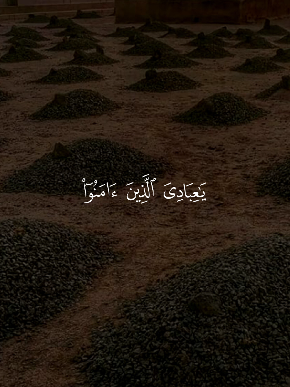 #قران #quran #قران_كريم #quran_alkarim #القران_الكريم 