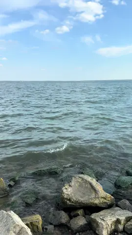 Aber si cae peces acá 