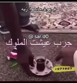 #ذبات #شعب_الصيني_ماله_حل #fyp  @sar.d0 
