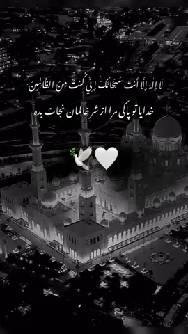 #foryou #UK #afghan #allah❤️ #afghanistan 