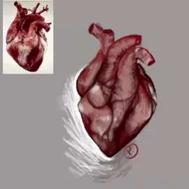 Enjoy ig                            #art #realism? #speedpaint 