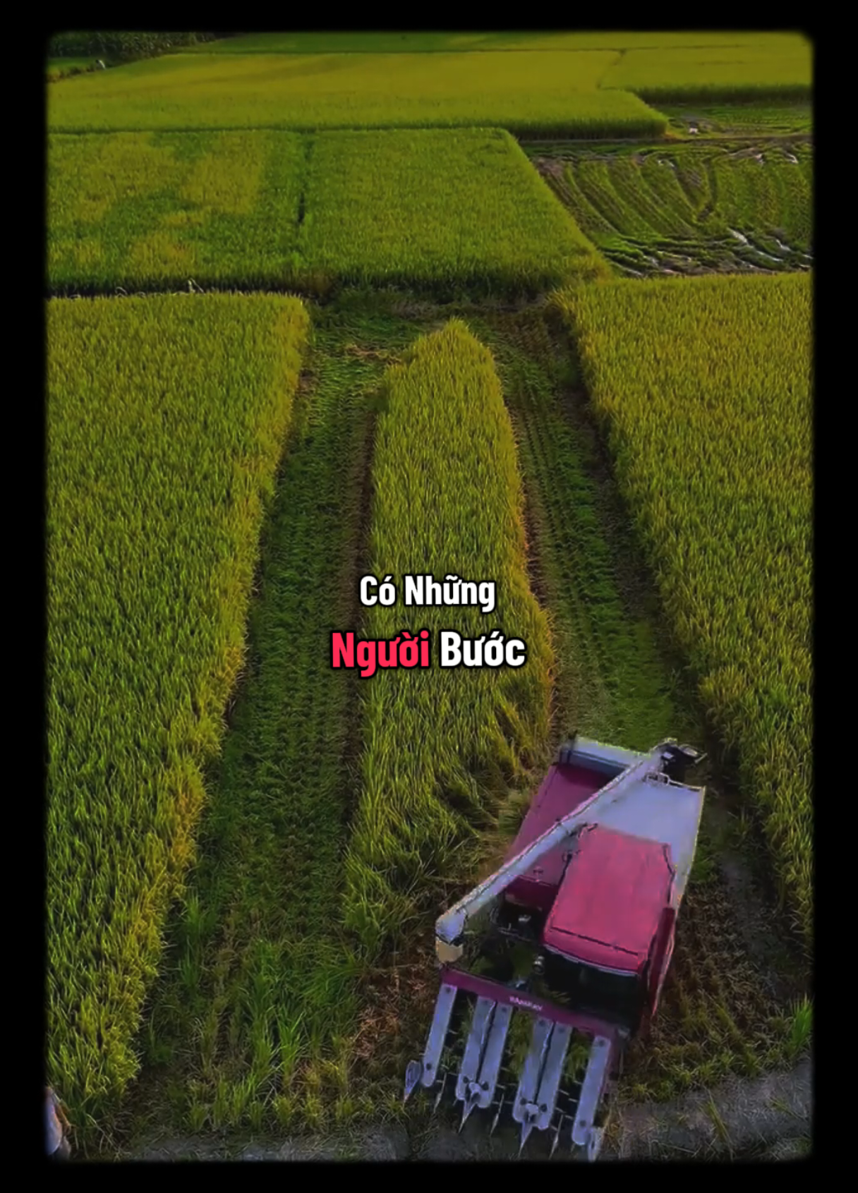 Thương Rồi Thì Làm Sao Mà Bỏ Được...#podcast #chualanh #thaydoibanthan #sachhay #phattrienbanthan 