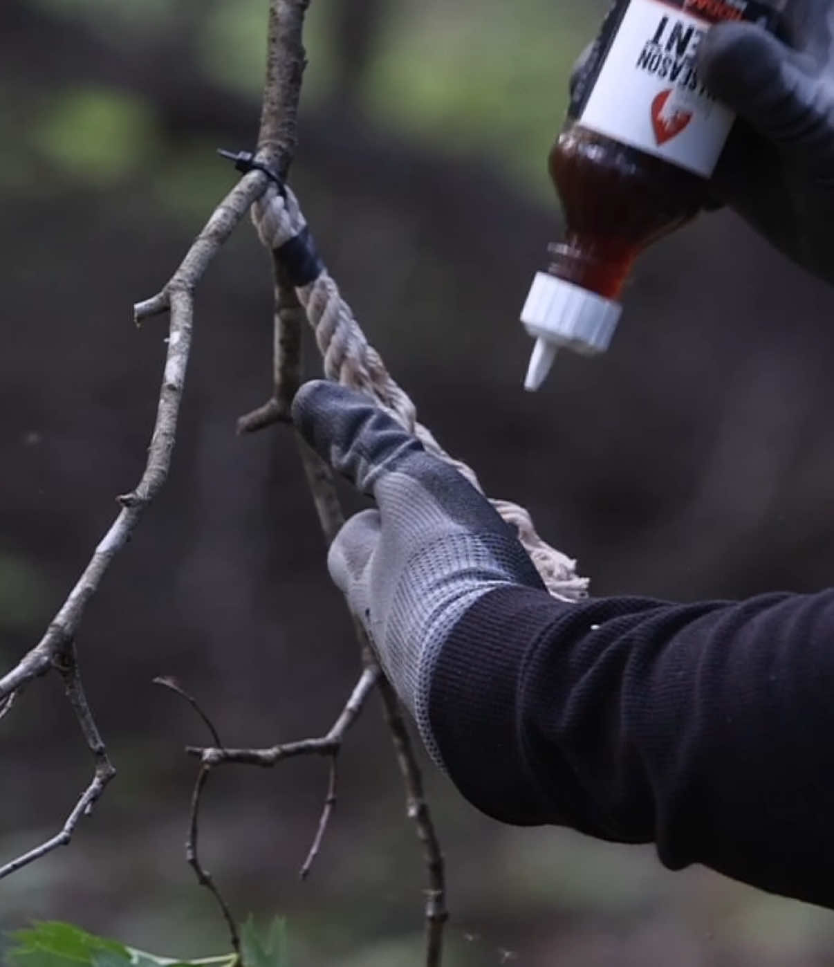 HempScent Scrape Tassels are the perfect product for public land because of how easy and simple they are to deploy and also because of how discrete they are to anyone else walking through the area! 🔥🦌 Find a natural scrape, hang your tassel(s), and setup your trail camera! Easy as that! 👍🏻 #deerhunting #publiclandhunting #bowhunting #deerhunter #whitetaildeer 