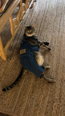 🤠 