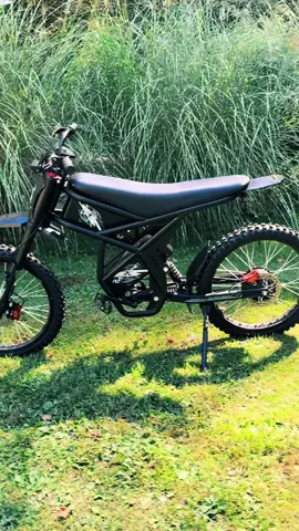 Gt73 pro the best deals are here at ewhweelhub! We also carry the freego x2 pro and many other e-bikes! Follow us for live discounts and get hundreds off for major savings for your next electric bike  #gt73pro #bestbike2025 #freegox2 #ridstar #tuttio 