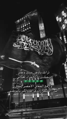 الأغنيه رهيبه ويني عنها 🫣#اليوم_الوطني95 #explore #سعودي #sudiarabia🇸🇦 