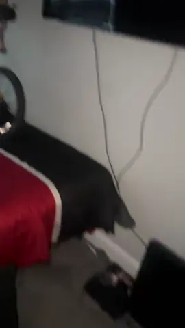 Onnn my beddddd #PetsOfTikTok #dogsoftiktok #bully #pits #dogs 