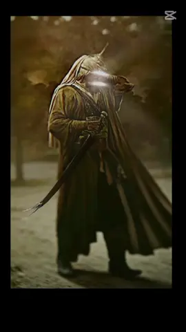 #capcut 