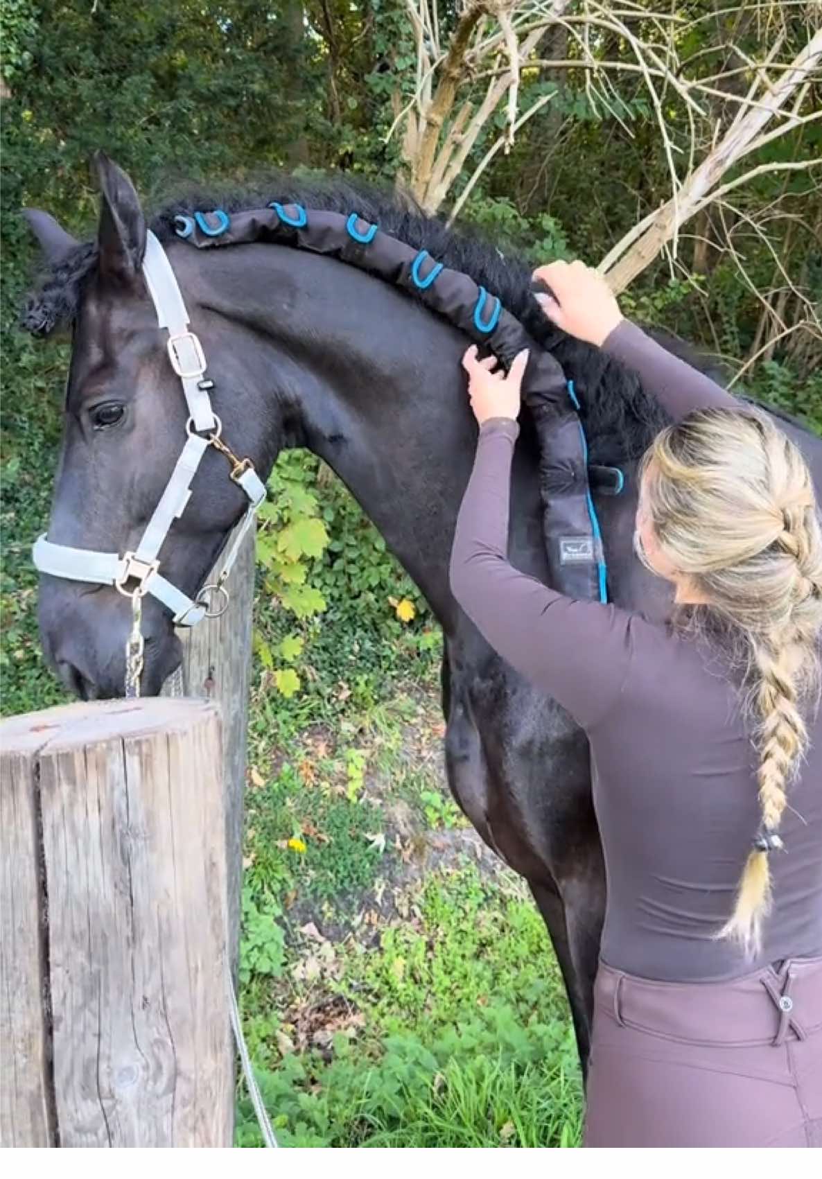 Mane care routine, always using a serum ❤️ #princesstreatment #hairtutorial #horsegirl #horsesoftiktok #friesianhorse #frisian #stalion #horseriding #tutorial #xyzxba #xyz@VosBrouwer @CowboyMagicEurope @Equestrian Stockholm @LeMieux Products @Bucas Nederland @Montar Benelux @NAF 