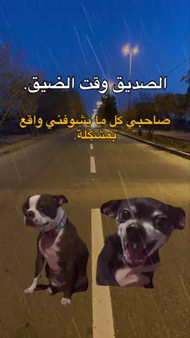 طاقيه🤣🤣🤣.  #fyp #viral #explore #الشعب_الصيني_ماله_حل😂😂 #مالي_خلق_احط_هاشتاقات #foryou #memes #منشن_للي_تحبه #طاقيه_طاقيها😁❤️💍 #حقيقة #ميمز_العرب 
