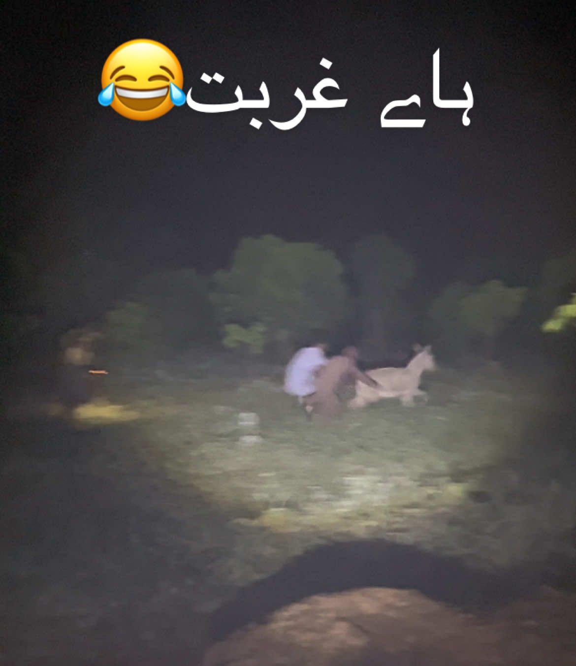 #سگنت۔ویڈیو۔ویرل۔کرسیو۔آپ۔ہیں #foryou #1million #😂😂😂😂😜😜😜😜😂😂😂😂😂