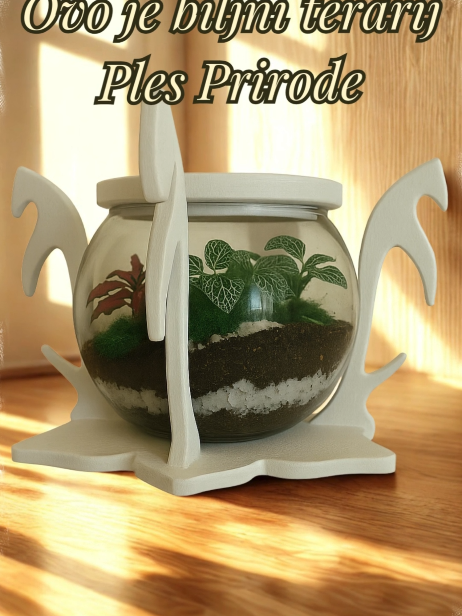 🌿✨ Novi biljni terarij – Ples Prirode ✨🌿 Unesi prirodu u svoj dom ili ured i uživaj u njenom mirnom ritmu. Koja varijanta osvaja tvoje srce 🤍bijeli ili 🤎 smeđi? #PlesPrirode #terrarium #biljniTerarij #aestheticdecor #plantlover #homedecorideas #fyp #natureinside #PlantTok #relaxingvideo #homedesign #creativeplants #GreenDeco #PlantsMakePeopleHappy #MiniGarden #EcoStyle #TerrariumDesign #Handmade #woodart #tiktokhrvatska