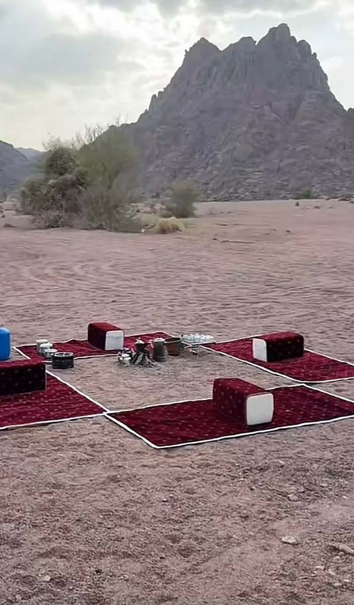 #اكسبلور 