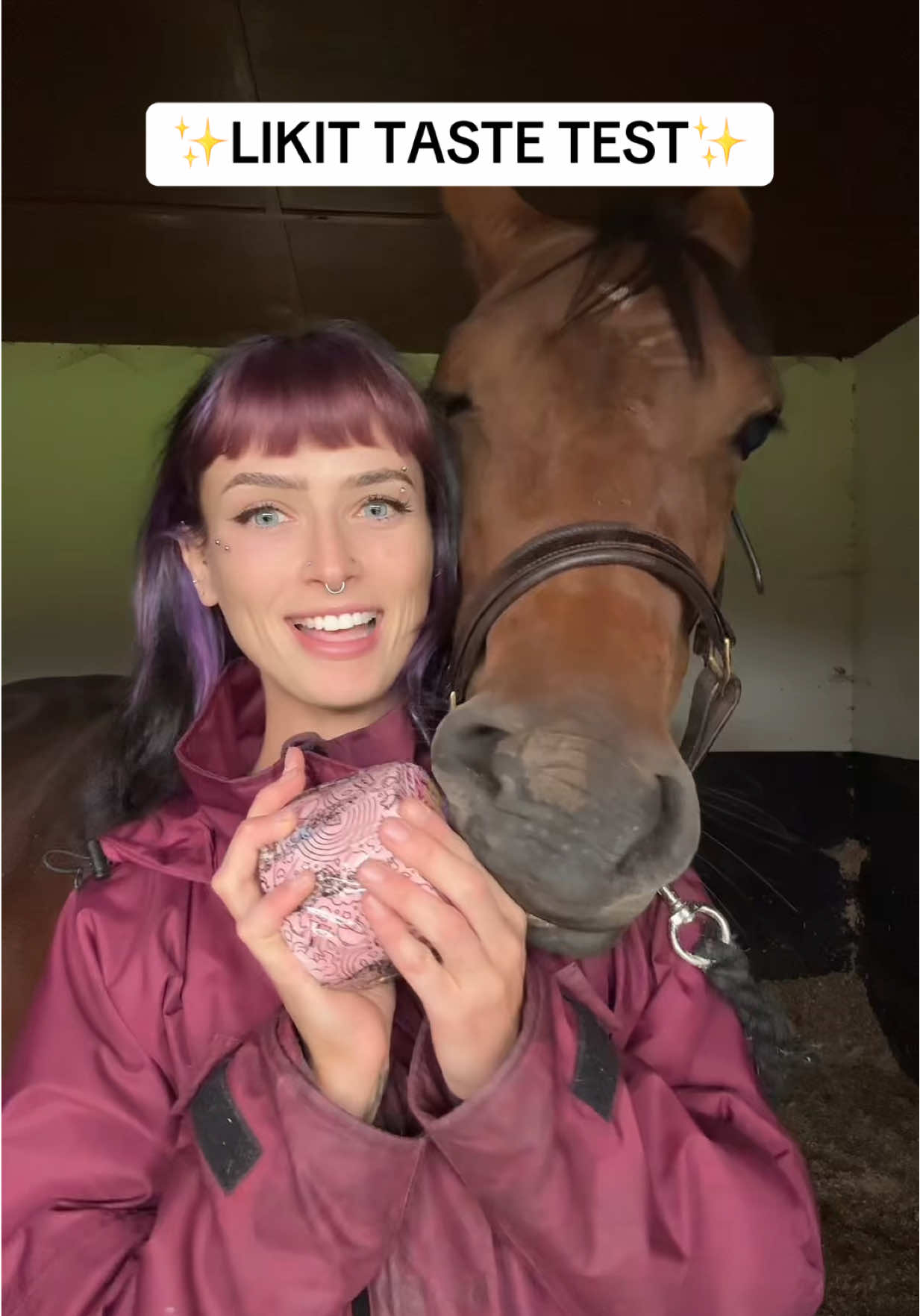 She is so greedy 😤 #horsetok #equestrian #horseriding #horsesoftiktok #fyp @Likit Products 